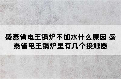 盛泰省电王锅炉不加水什么原因 盛泰省电王锅炉里有几个接触器